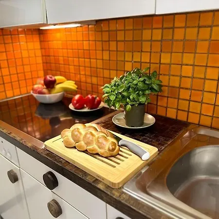 Alpine With Ac, Garden Terrace And Much Privacy Apartamento Zurique